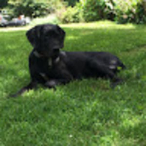 Meet your Posher, Avery